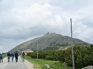 100_9757 (1)